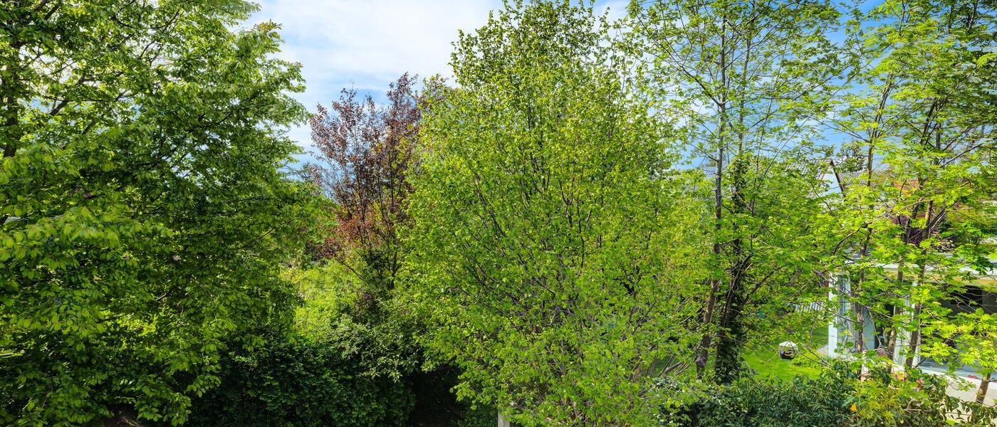 Reihenhaus München Westpark 03 Aussicht 5296