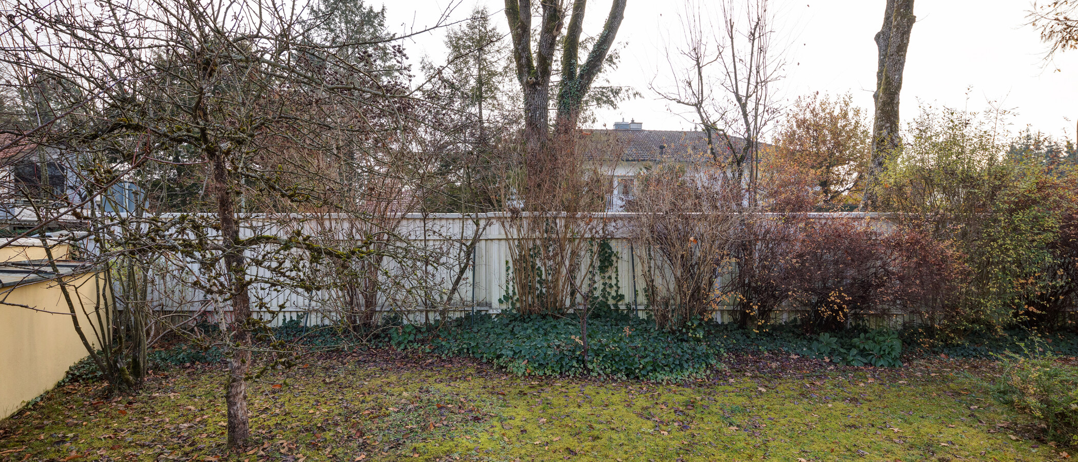 Wohnung Grünwald 01 Aussicht 5318