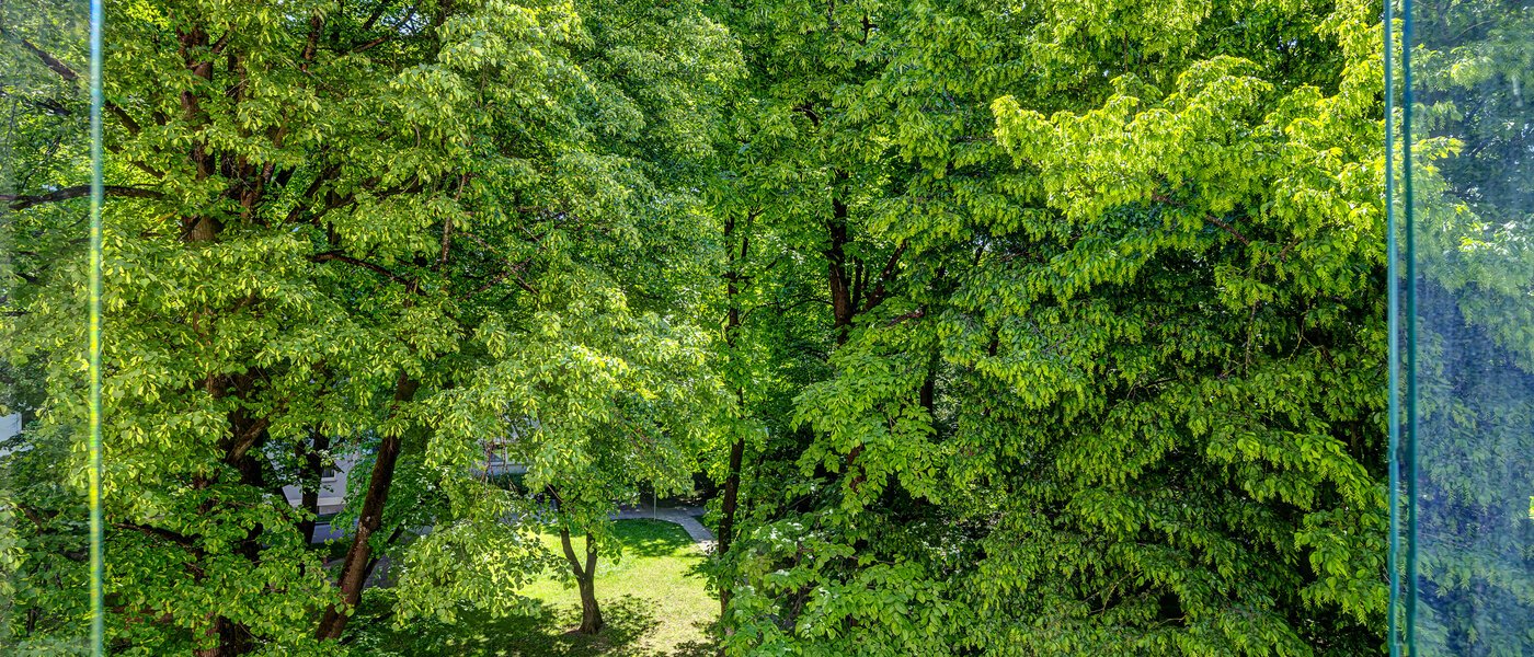 Wohnung München Fürstenried 02 Aussicht 5356