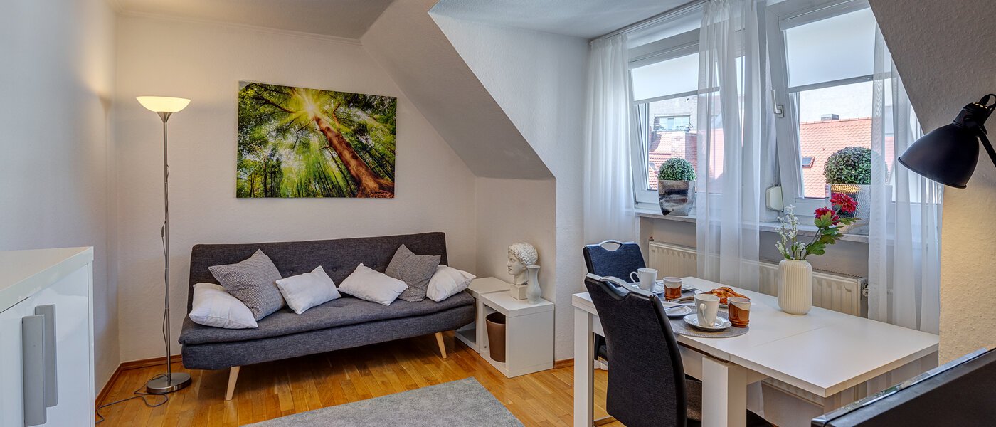 Wohnung München Altstadt 01 Wohnzimmer 5396