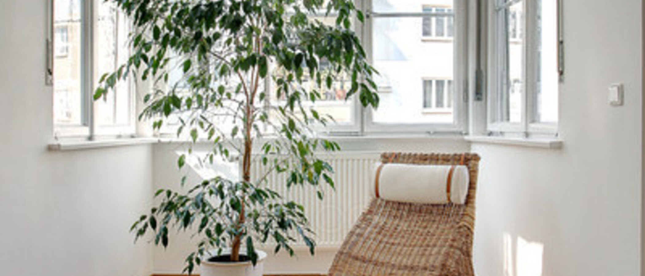 Wohnung München Altbogenhausen 09 Wohnen 5506