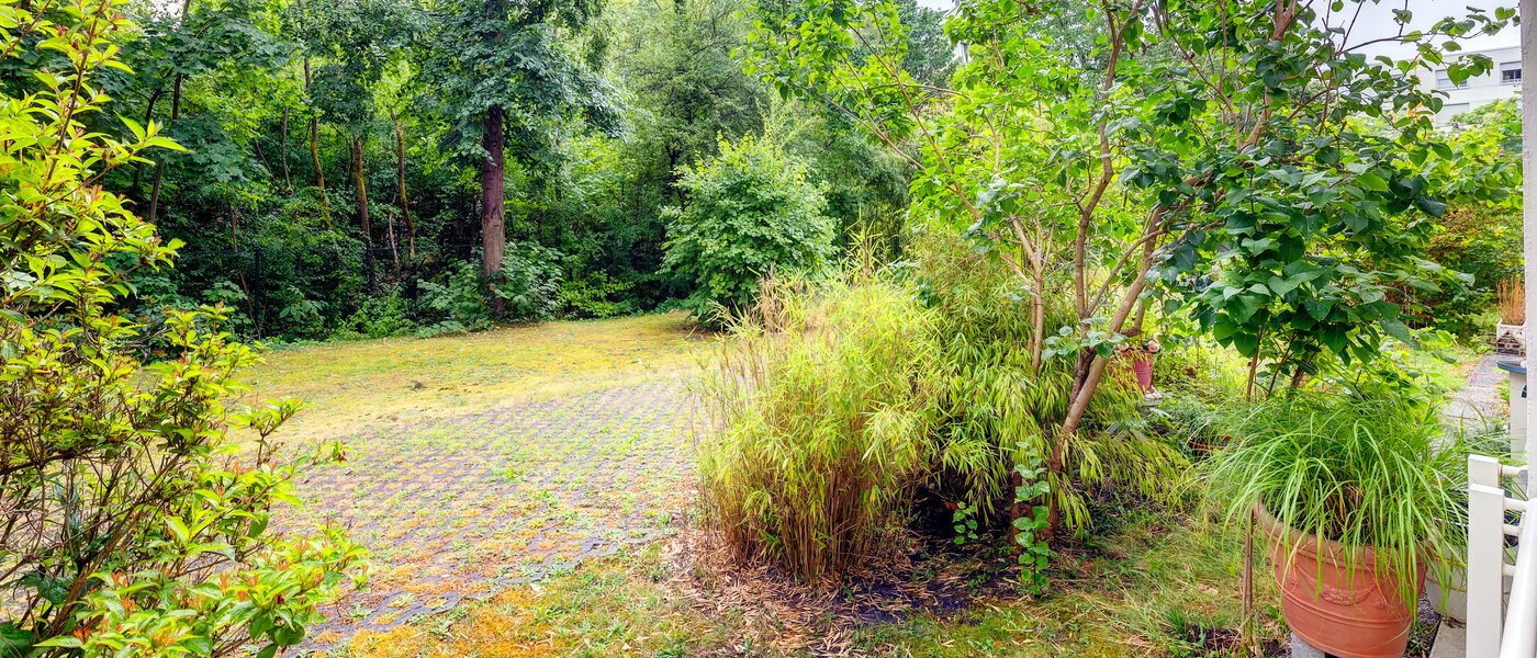 Wohnung München Schwabing-Nord (zw. Belgrad- & Leopoldstraße) 02 Aussicht 565