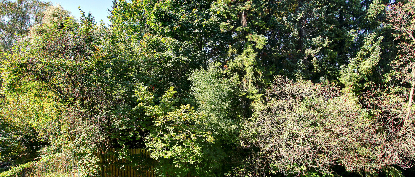 Wohnung München Schwabing 01 Aussicht 5794