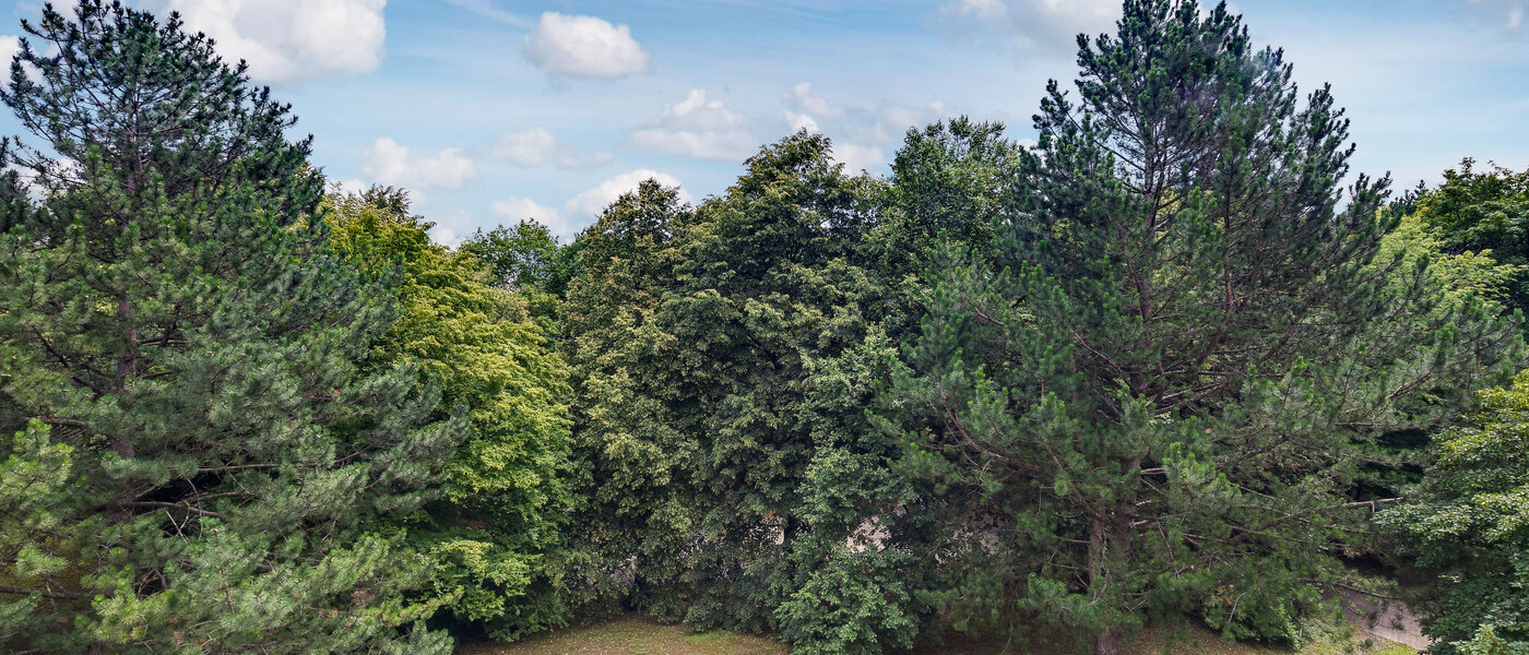 Wohnung München Moosach 01 Aussicht 5951