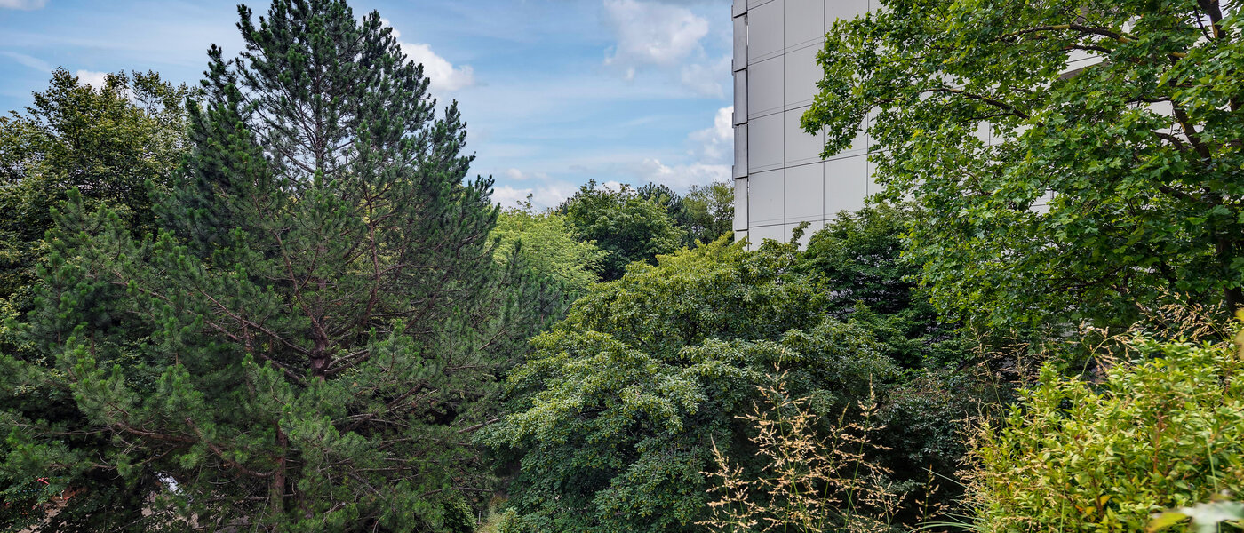 Wohnung München Moosach 03 Aussicht 5951