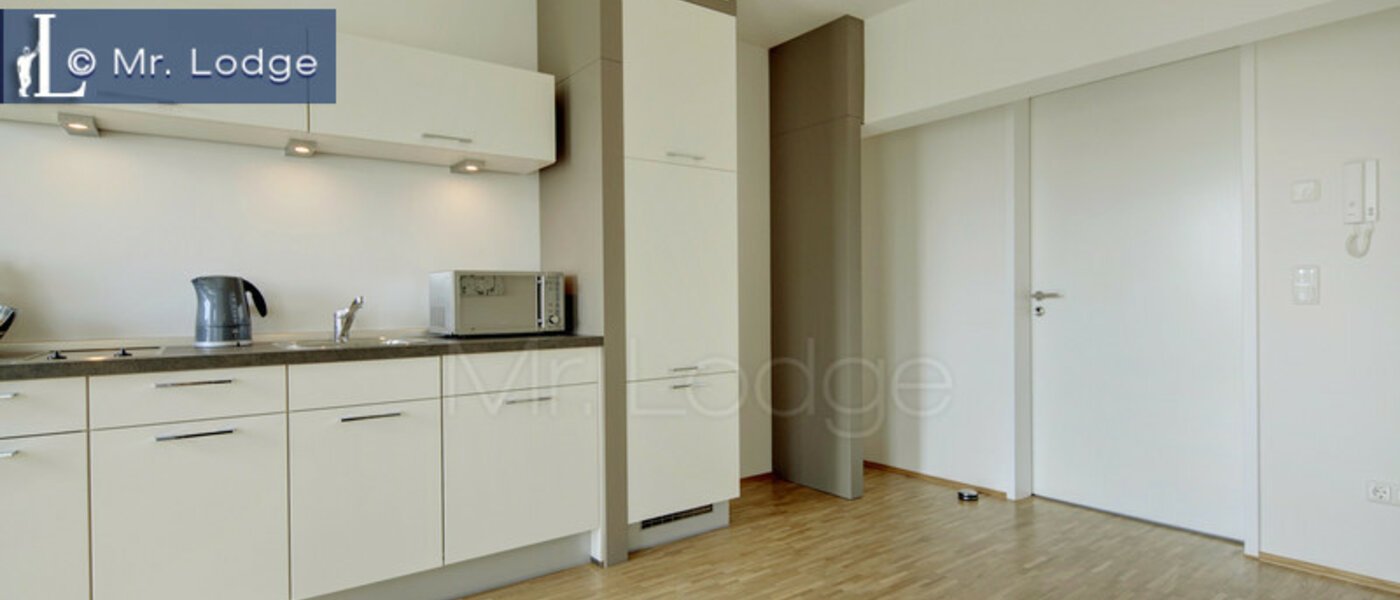 Apartment München Großhadern 02 Küche 6010