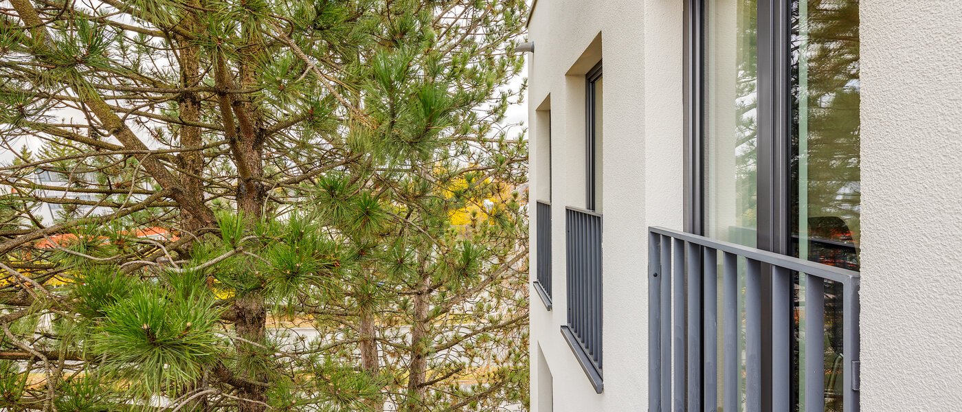 Wohnung München Großhadern 02 Aussicht 6011