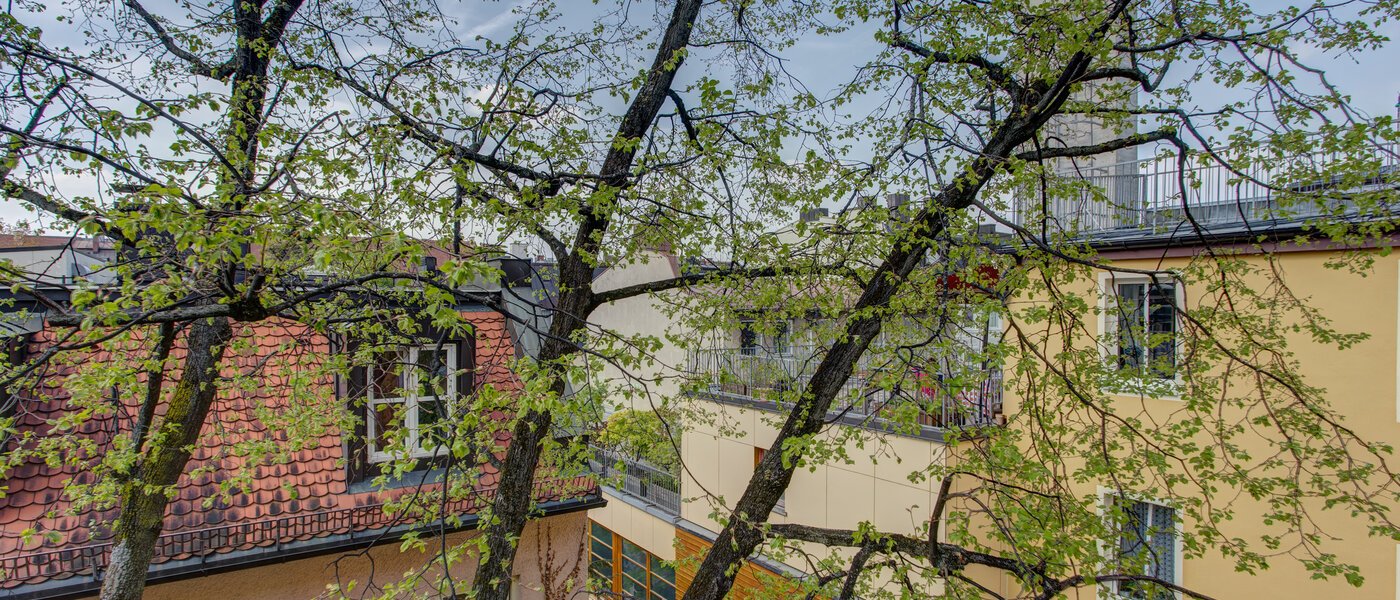 Wohnung München Maxvorstadt - Universitätsviertel 02 Aussicht 6047