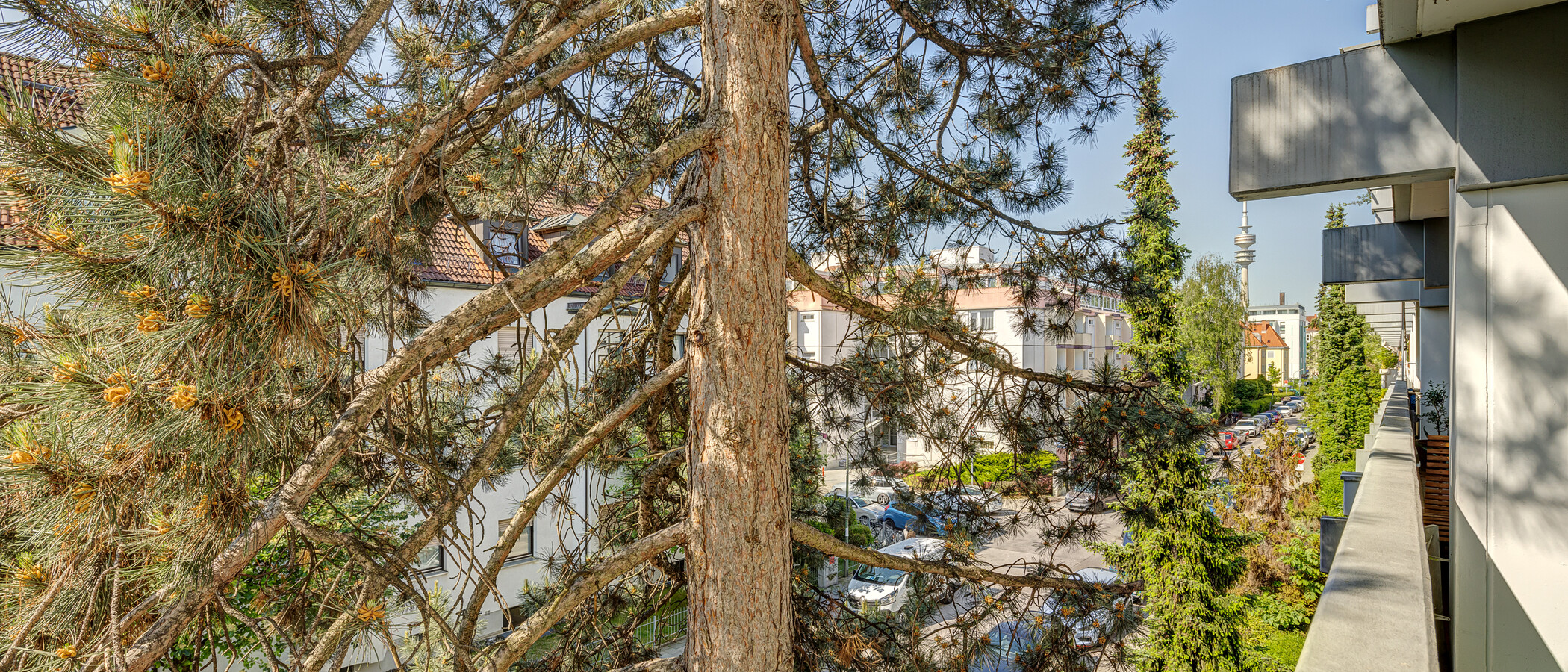 Wohnung München Milbertshofen 02 Aussicht 6061