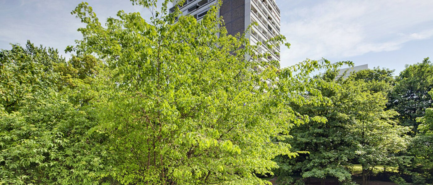 Wohnung München Arabellapark 01 Aussicht 6126