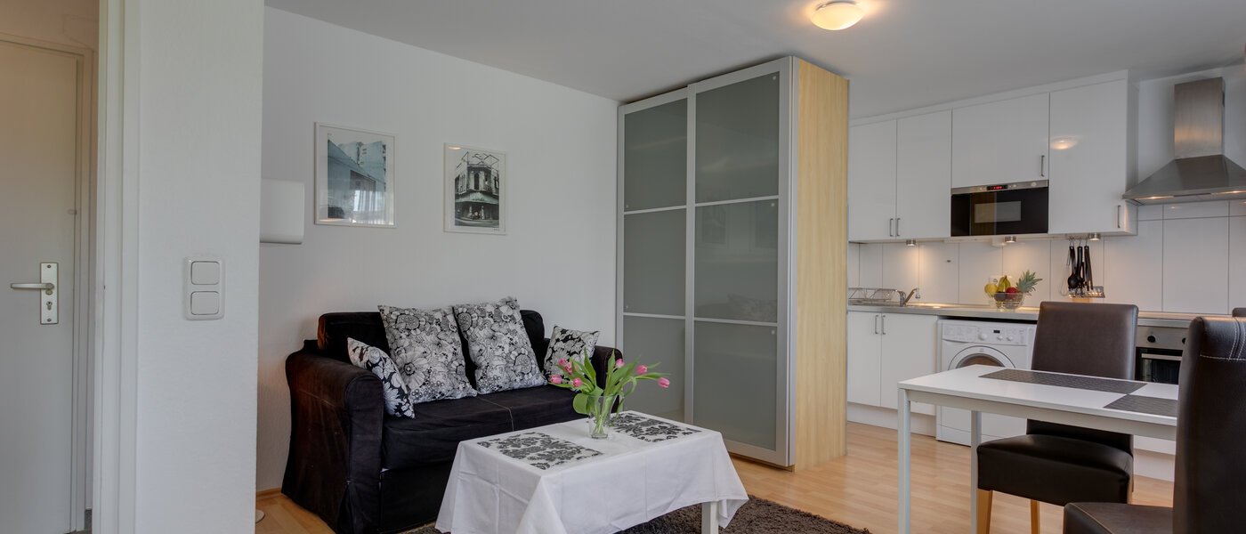 Apartment München Maxvorstadt - Universitätsviertel 02 Wohnbereich 6205