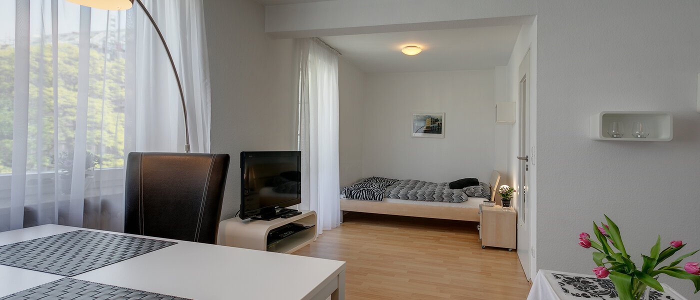 Apartment München Maxvorstadt - Universitätsviertel 04 Wohnbereich 6205