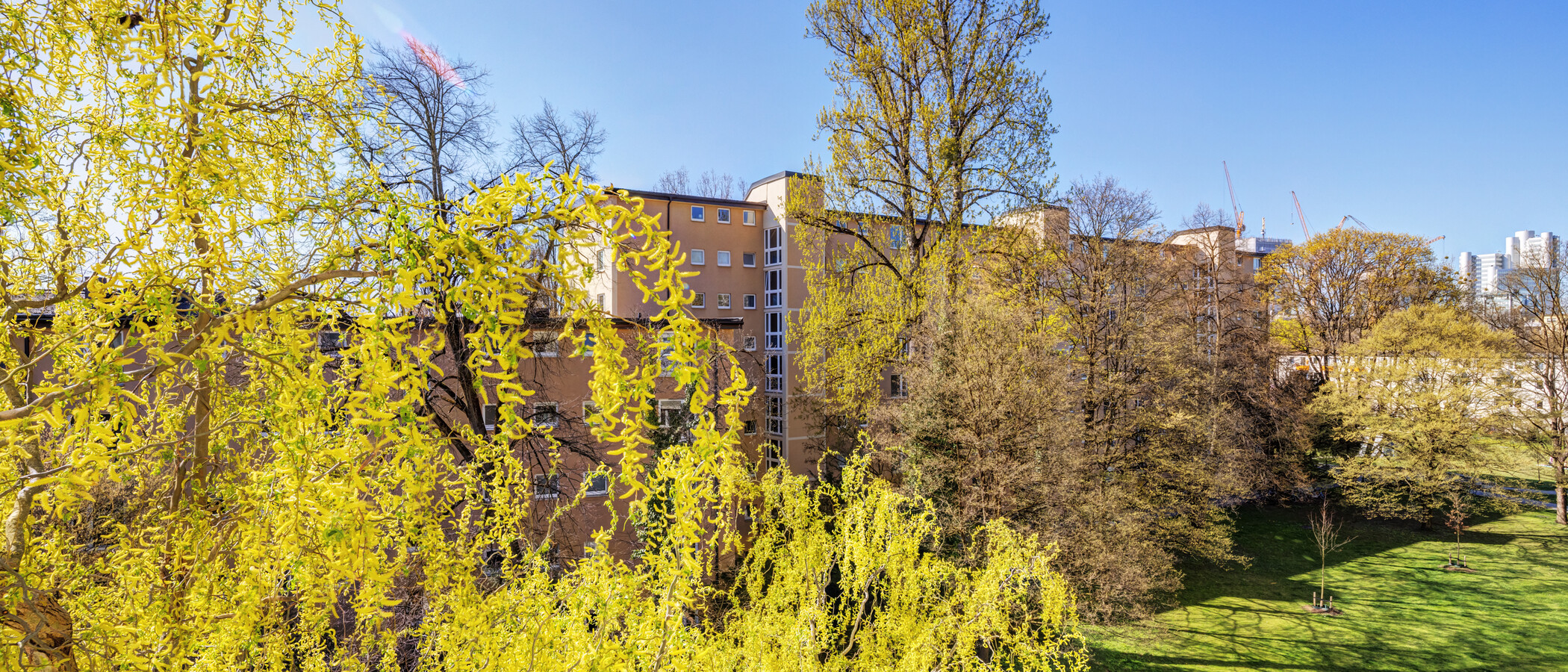 Wohnung München Bogenhausen 01 Aussicht 6213