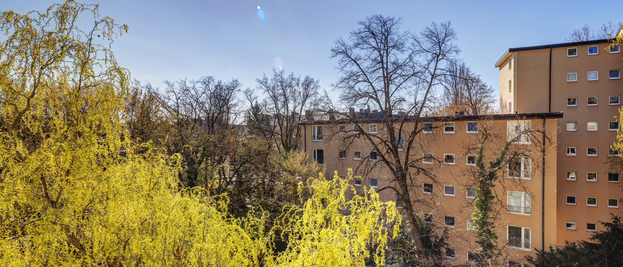 Wohnung München Bogenhausen 02 Aussicht 6213