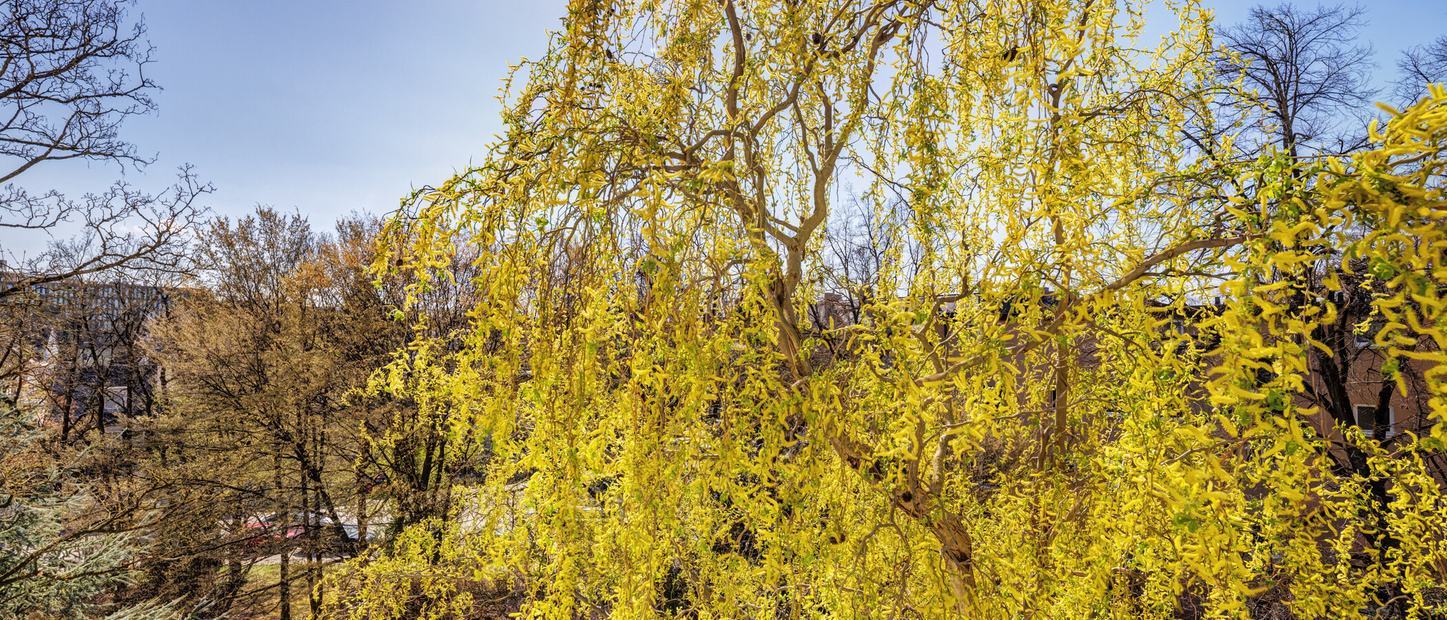 Wohnung München Bogenhausen 03 Aussicht 6213