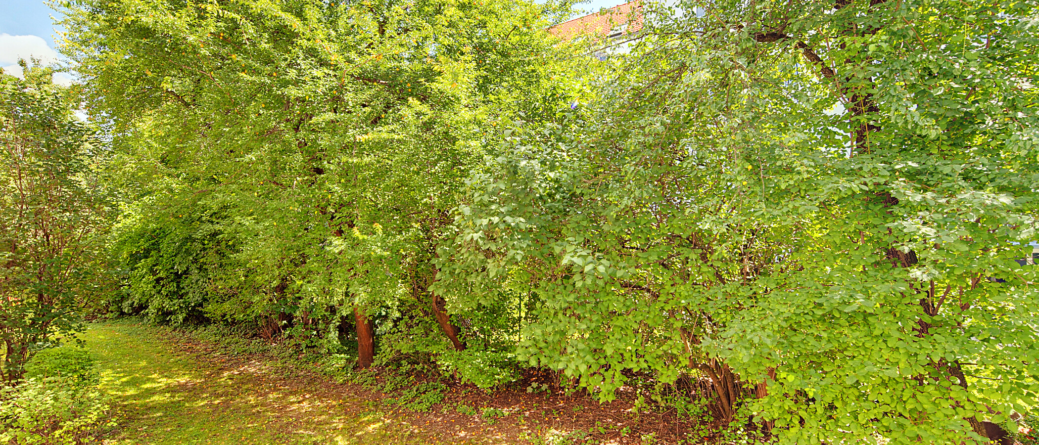 Wohnung München Schwabing - Alte Heide 01 Aussicht 6261