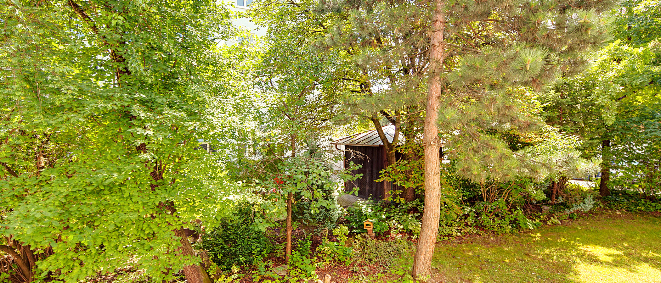 Wohnung München Schwabing - Alte Heide 02 Aussicht 6261