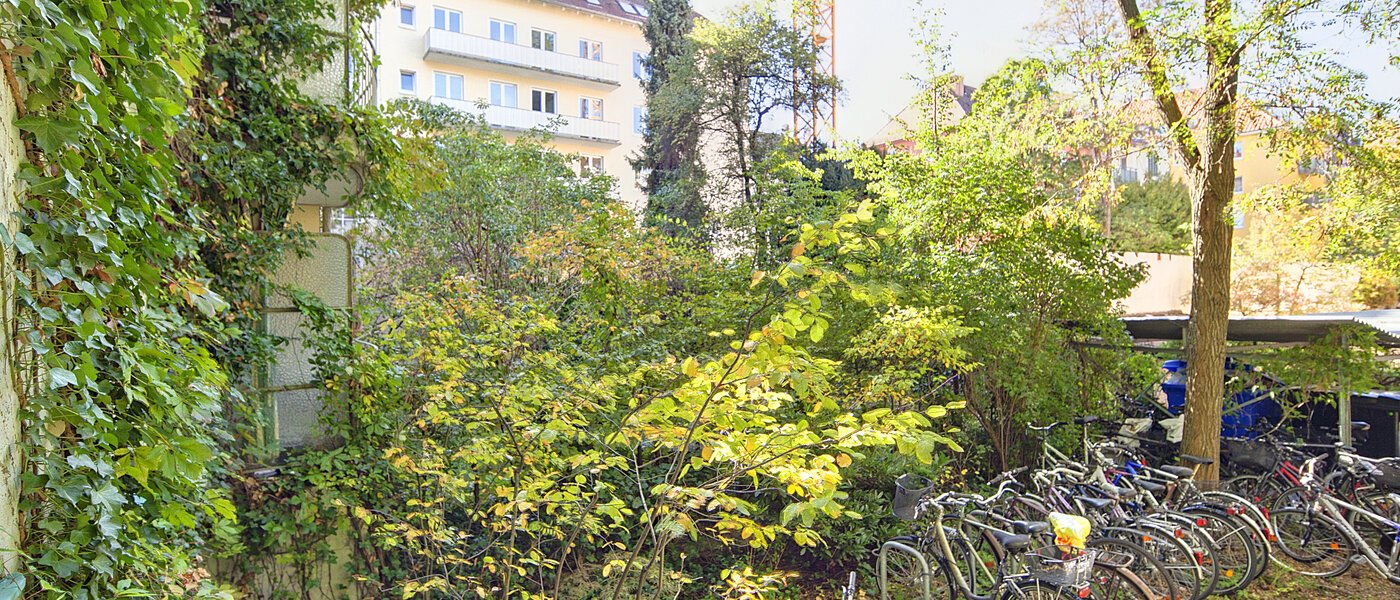 Wohnung München Maxvorstadt - Universitätsviertel 01 Aussicht 6407