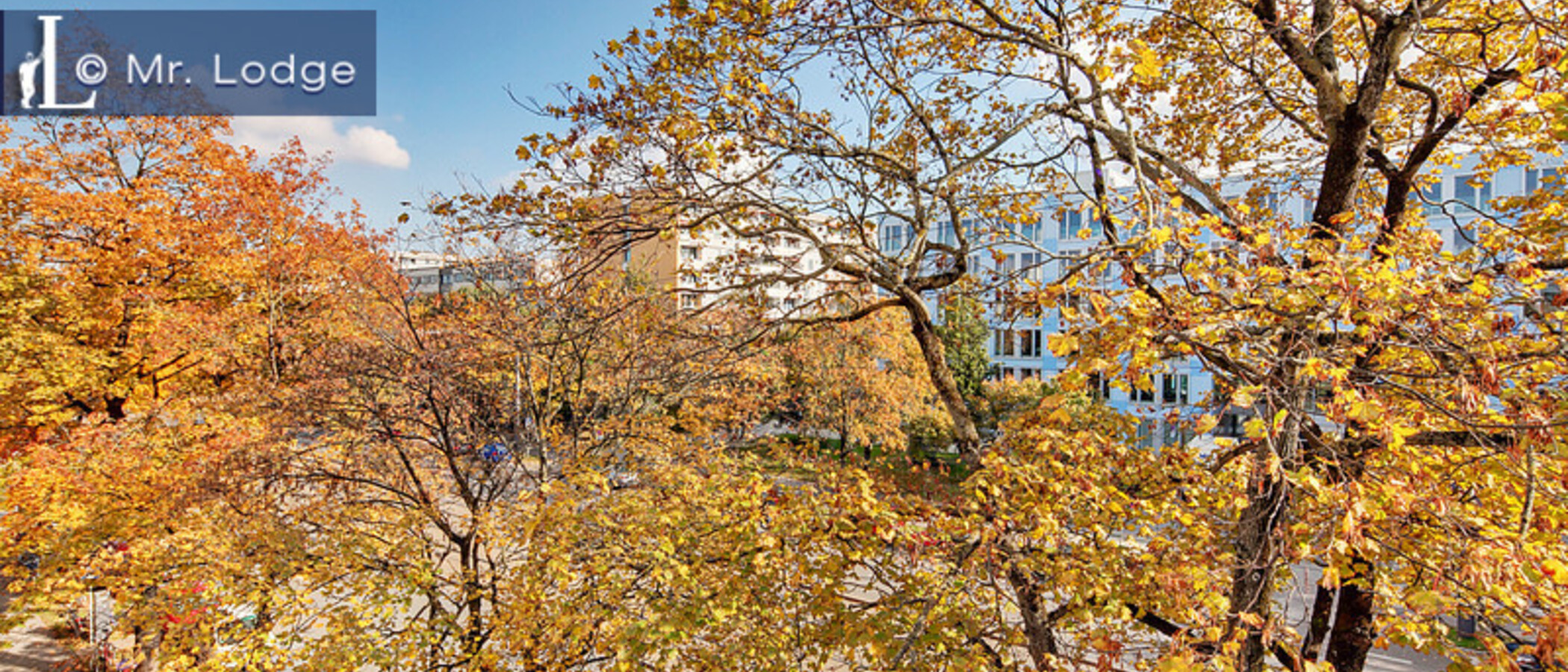 Dachterrassenwohnung München Neuhausen 03 Aussicht 6439