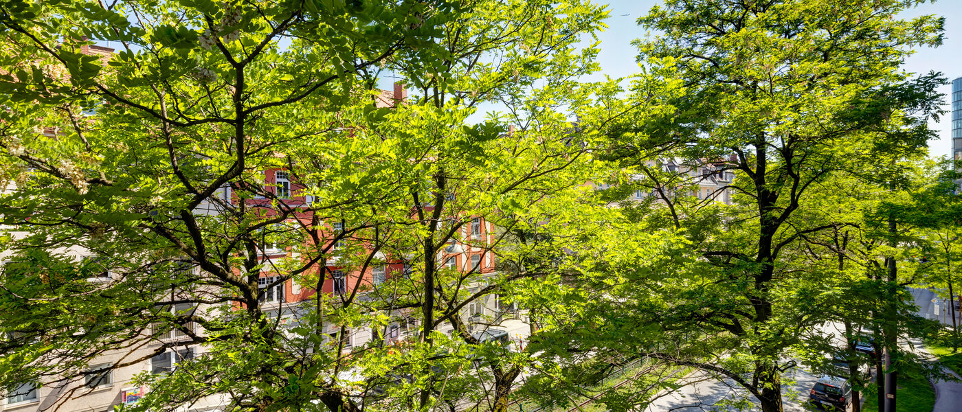 Wohnung München Neuhausen 01 Aussicht 6444