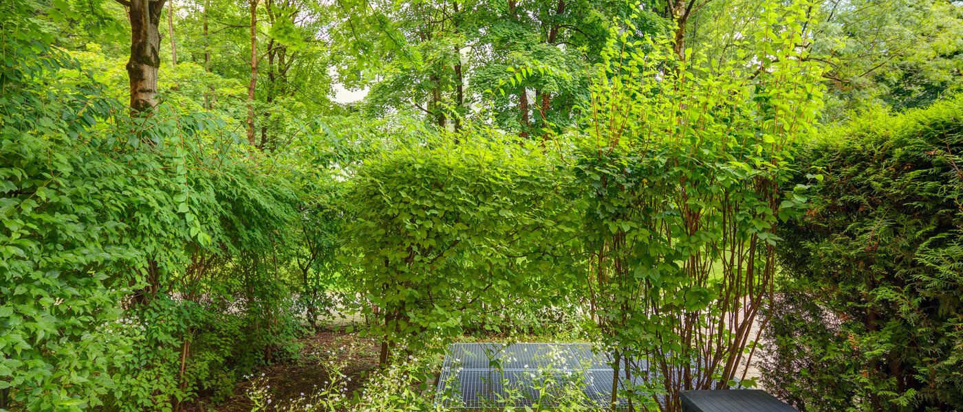 Wohnung München Haidhausen 01 Aussicht 6448