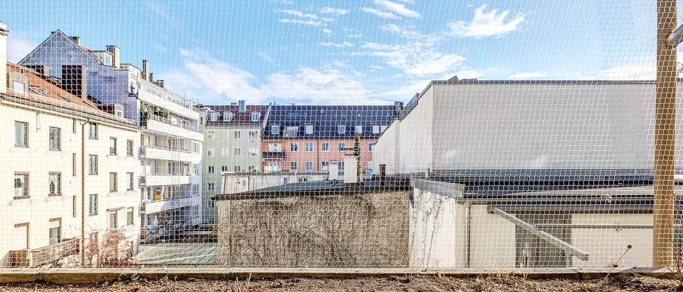 Wohnung München Maxvorstadt - Universitätsviertel 01 Aussicht 6485