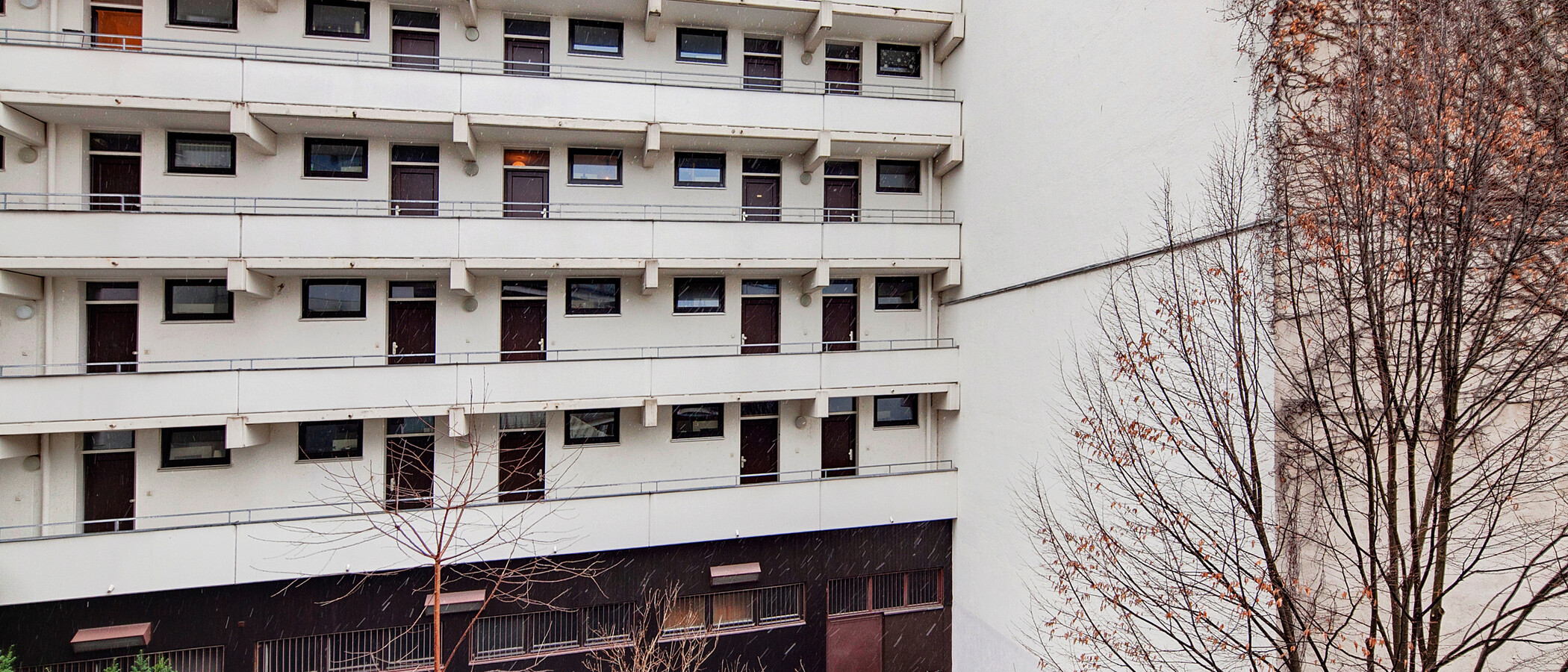 Wohnung München Schwabing 01 Aussicht 6560