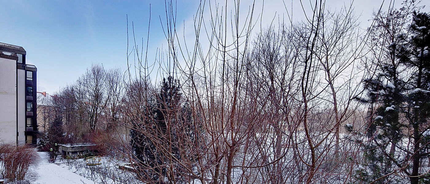 Wohnung München Haidhausen 01 Aussicht 6637