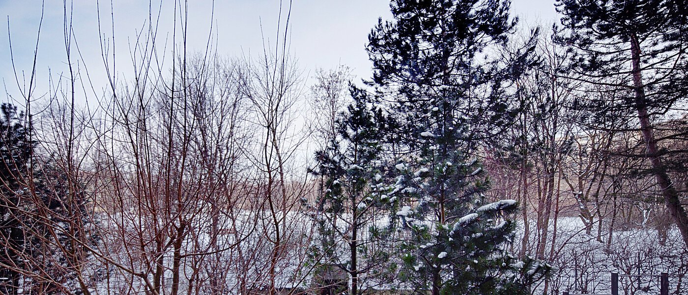 Wohnung München Haidhausen 02 Aussicht 6637