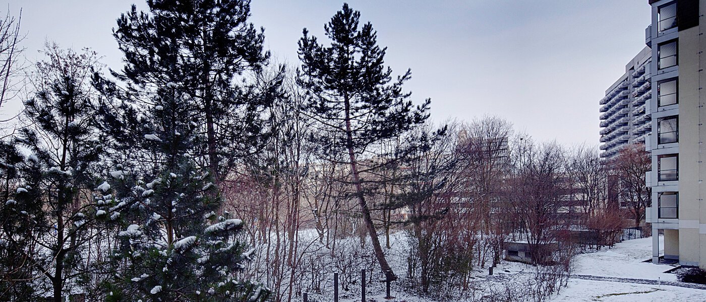 Wohnung München Haidhausen 03 Aussicht 6637