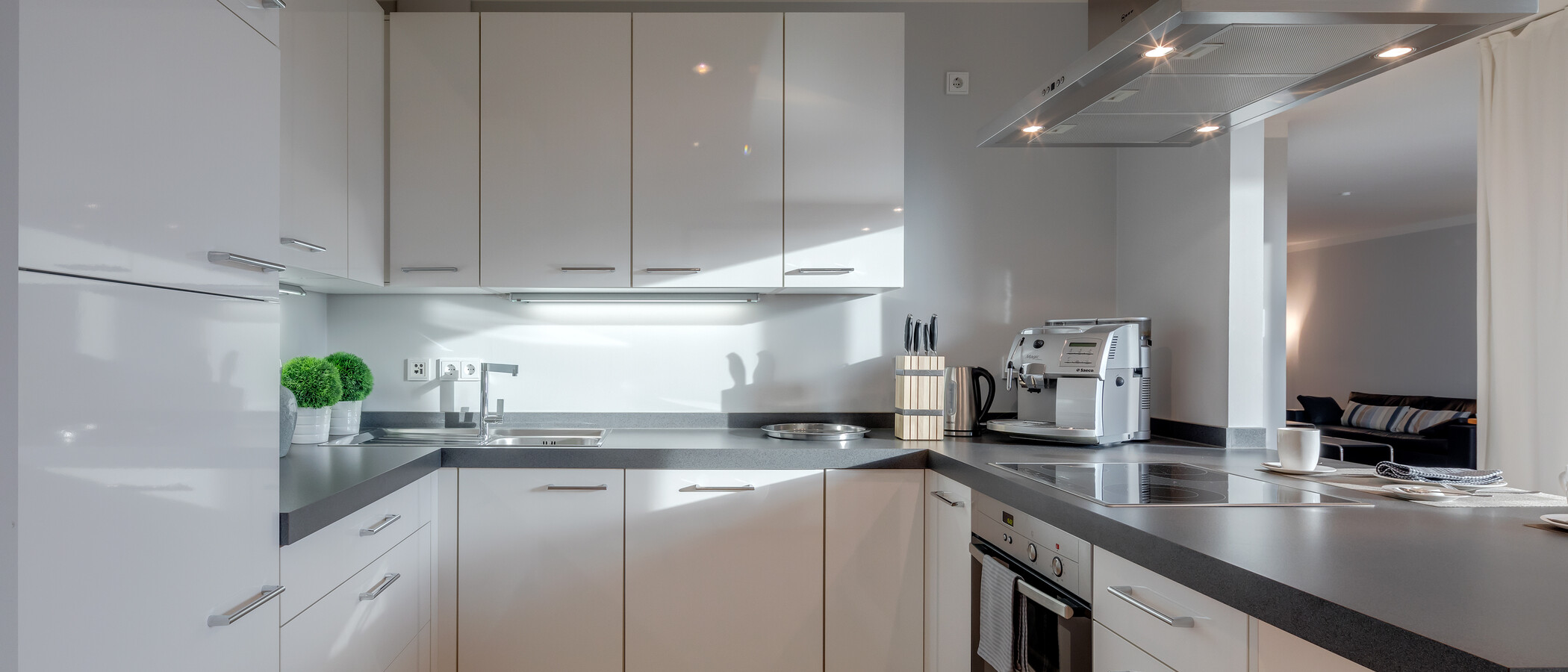 Wohnung München Maxvorstadt 01 Küche 6679