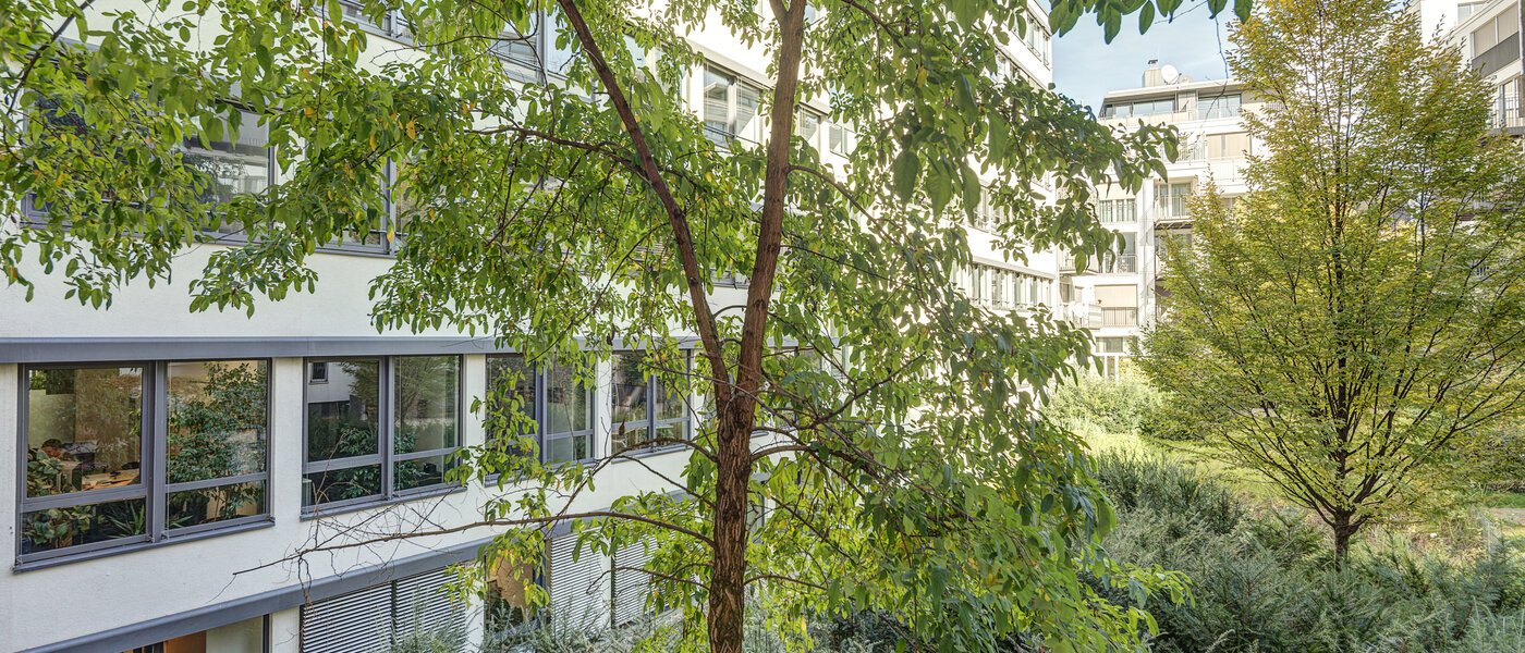 Wohnung München Maxvorstadt 01 Aussicht 6689