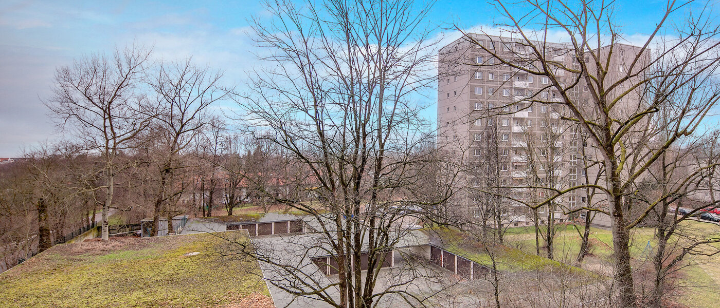 Wohnung München Parkstadt Bogenhausen 01 Aussicht 669