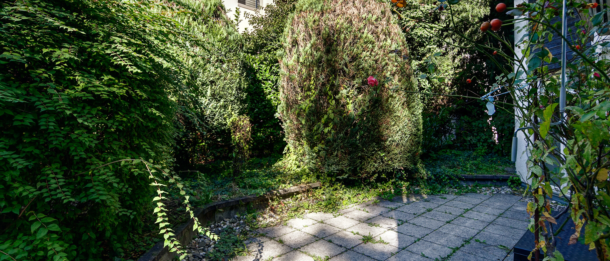 Wohnung München Herzogpark 02 Terrasse 673
