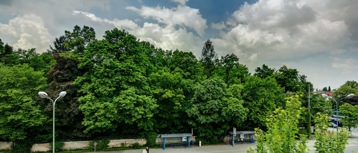 Wohnung München Sendling 02 Aussicht 6876