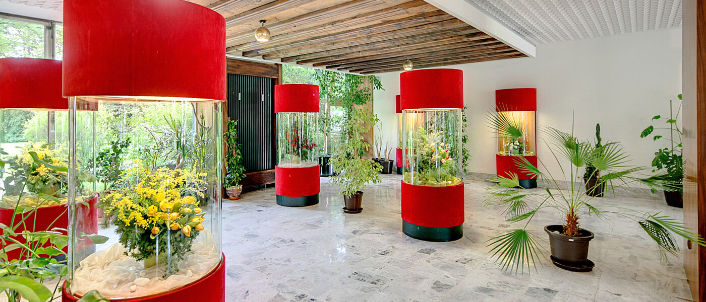 Wohnung München Solln 05 Special 6993