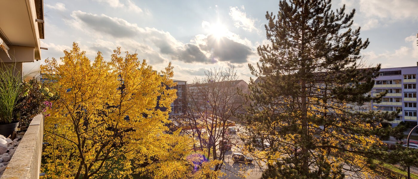 Wohnung München Schwabing 02 Aussicht 7050