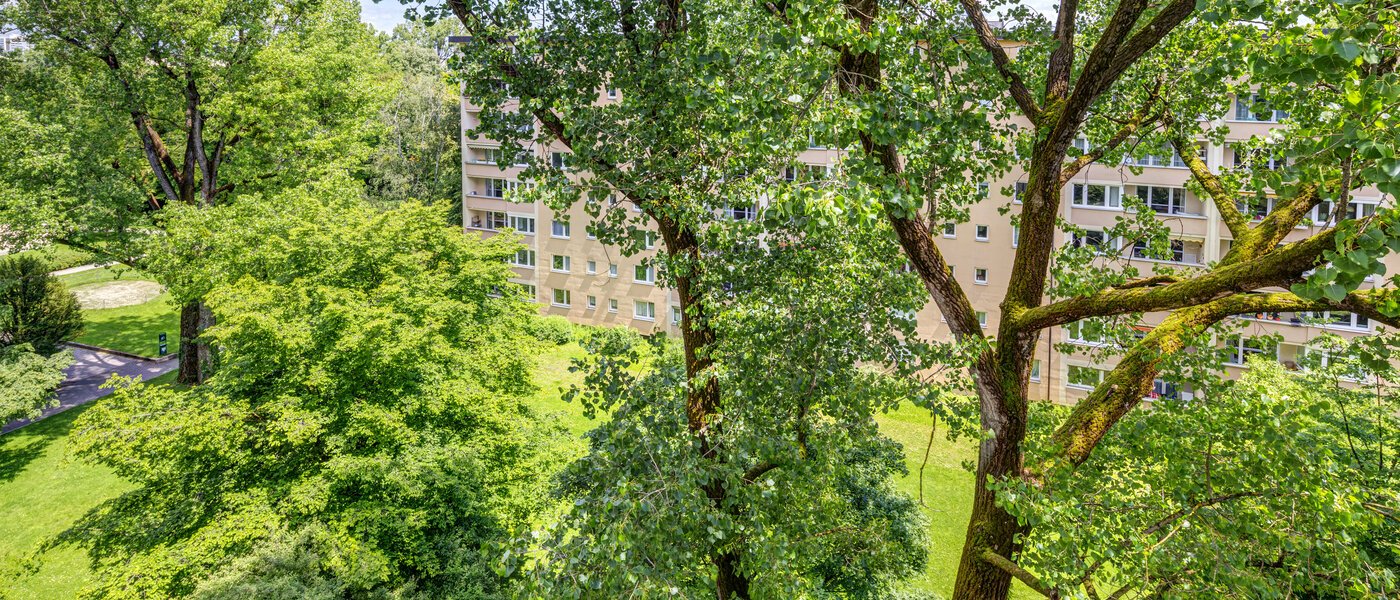 Wohnung München Bogenhausen 03 Aussicht 7308