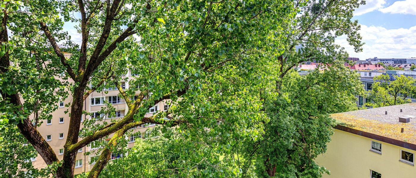 Wohnung München Bogenhausen 04 Aussicht 7308