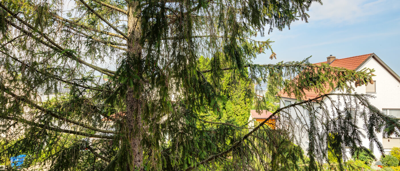 Wohnung München Feldmoching 01 Aussicht 7365