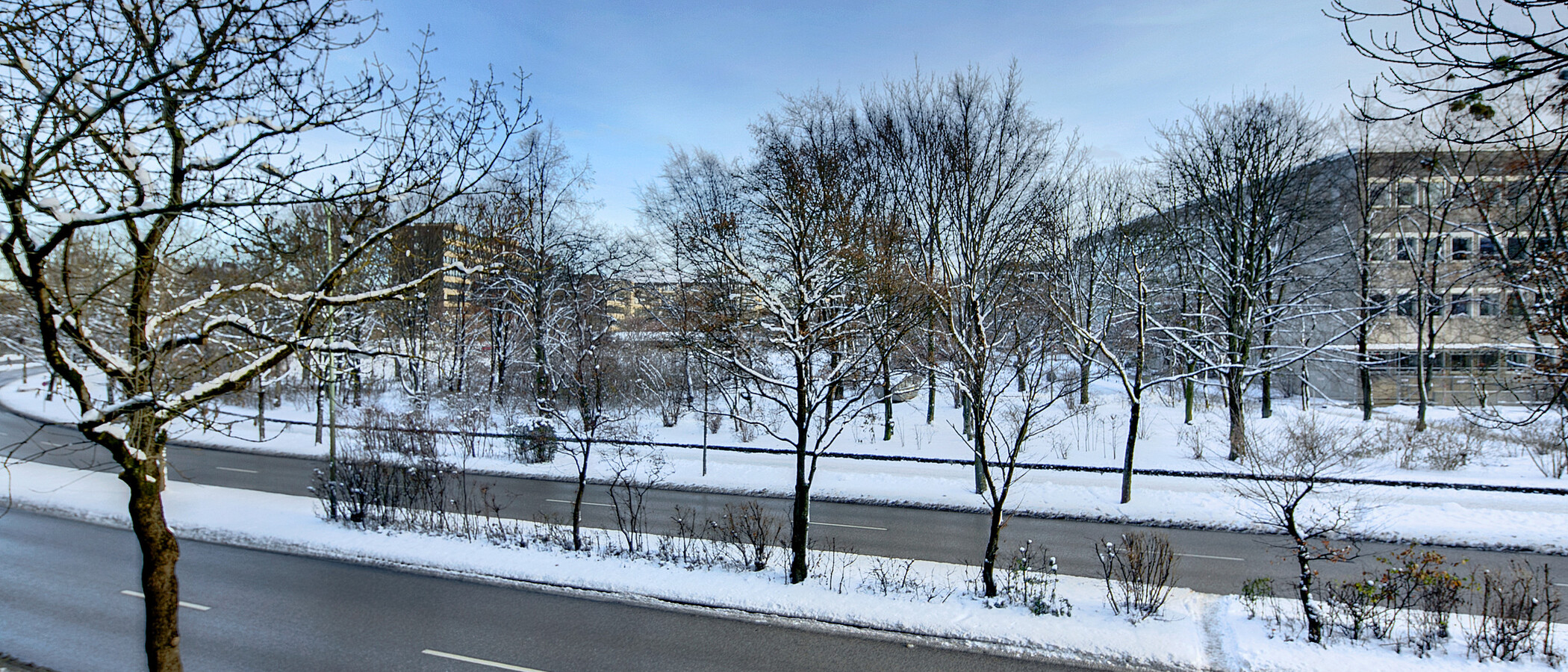 Wohnung München Neuhausen 01 Aussicht 7421