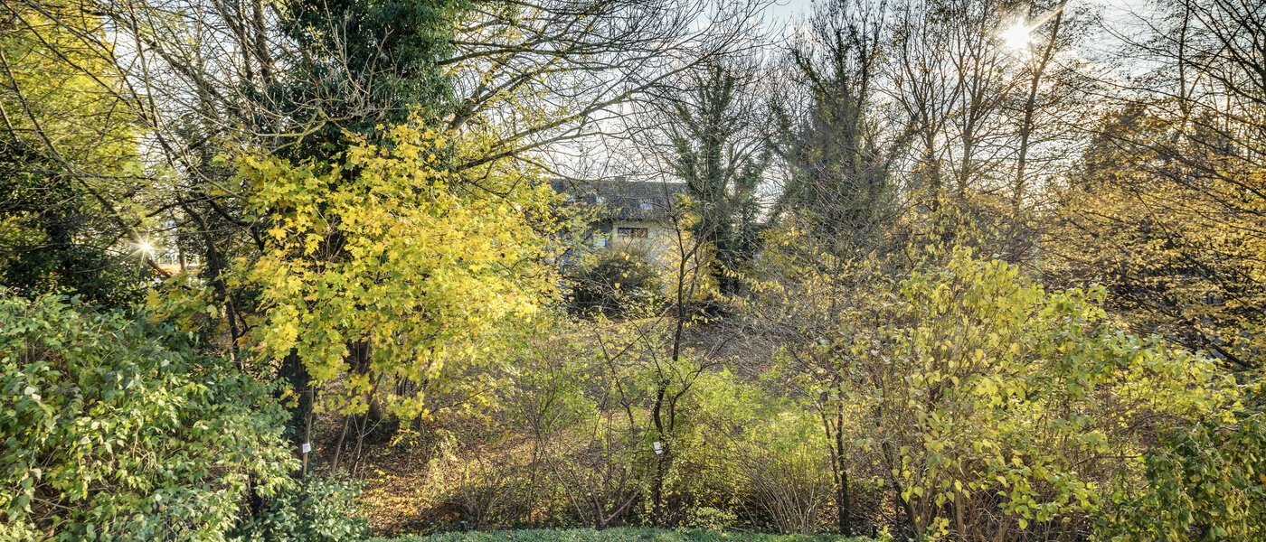 Maisonettewohnung München Fasanerie 01 Aussicht 7475
