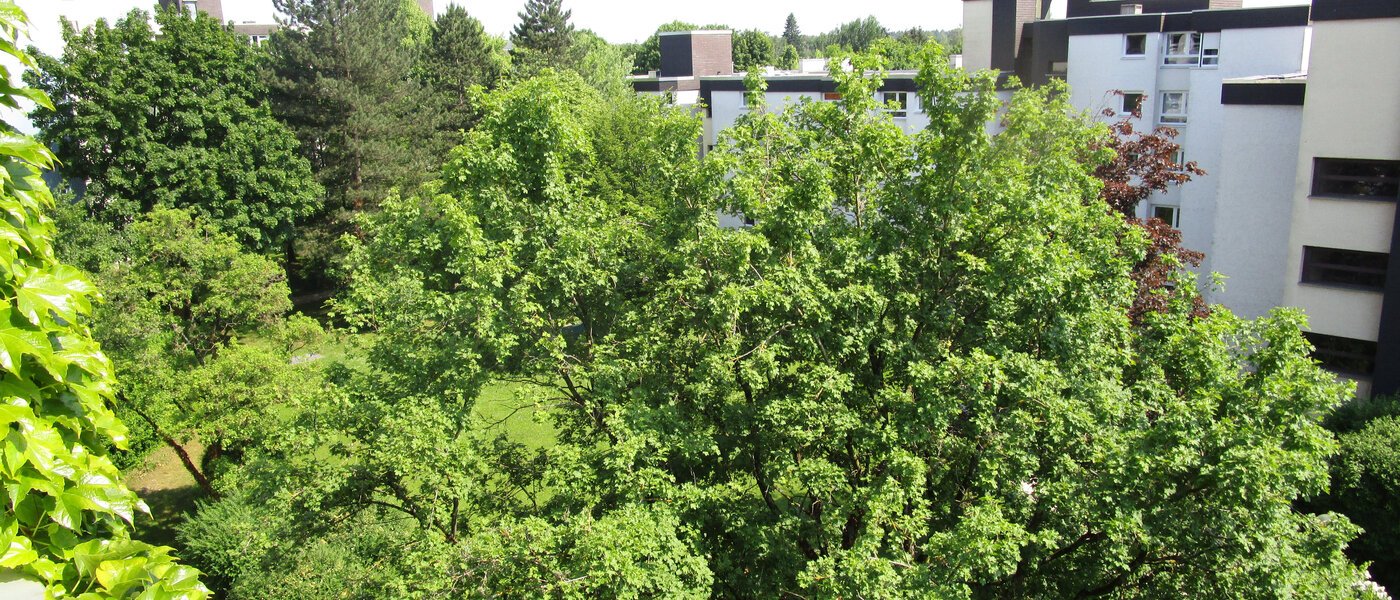 Wohnung München Hadern 01 Aussicht 7666