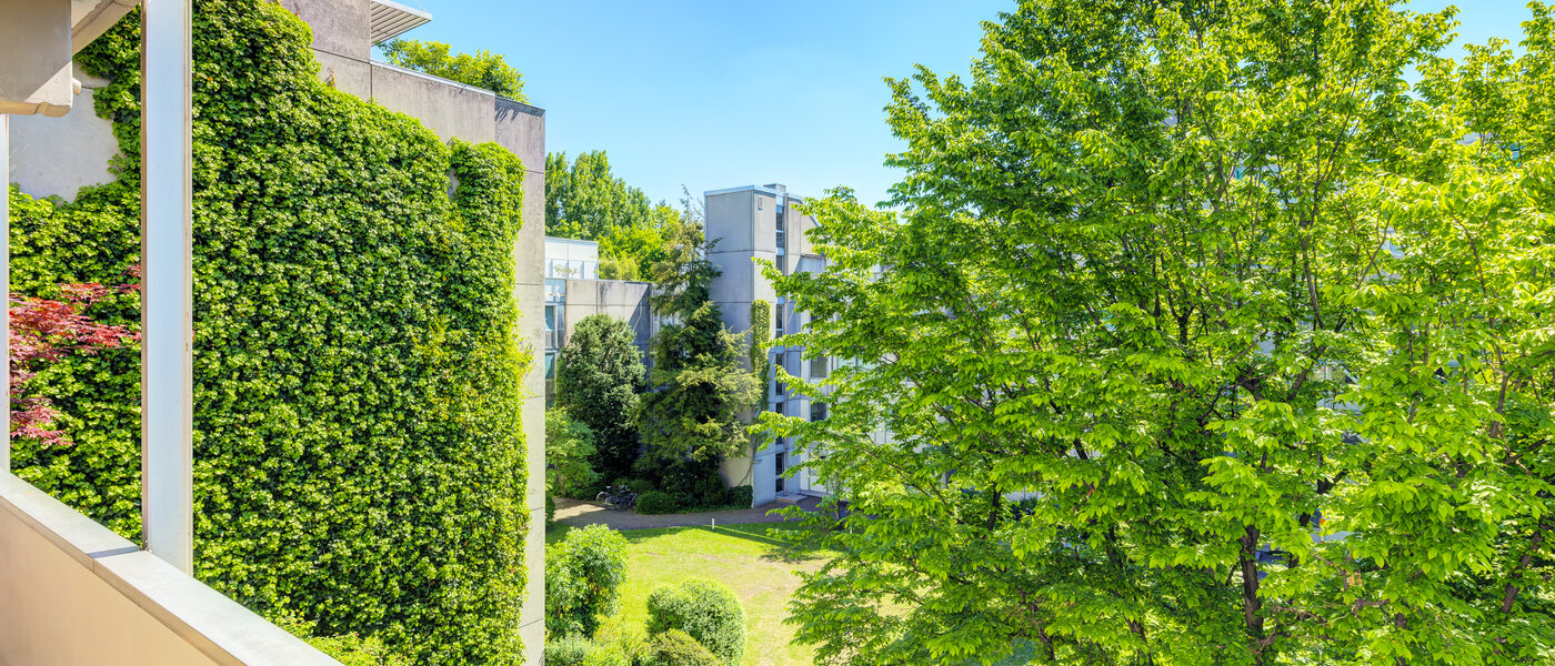 Wohnung München Schwabing-Nord (zw. Leopoldstraße & Englischen Garten) 01 Aussicht 7670