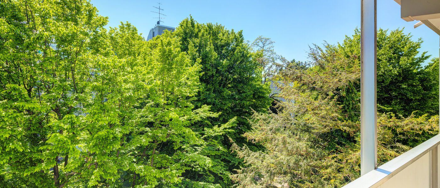 Wohnung München Schwabing-Nord (zw. Leopoldstraße & Englischen Garten) 02 Aussicht 7670