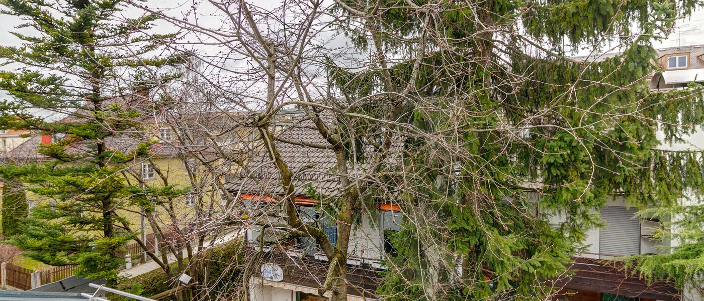 Dachgeschosswohnung München Berg am Laim 02 Aussicht 7696
