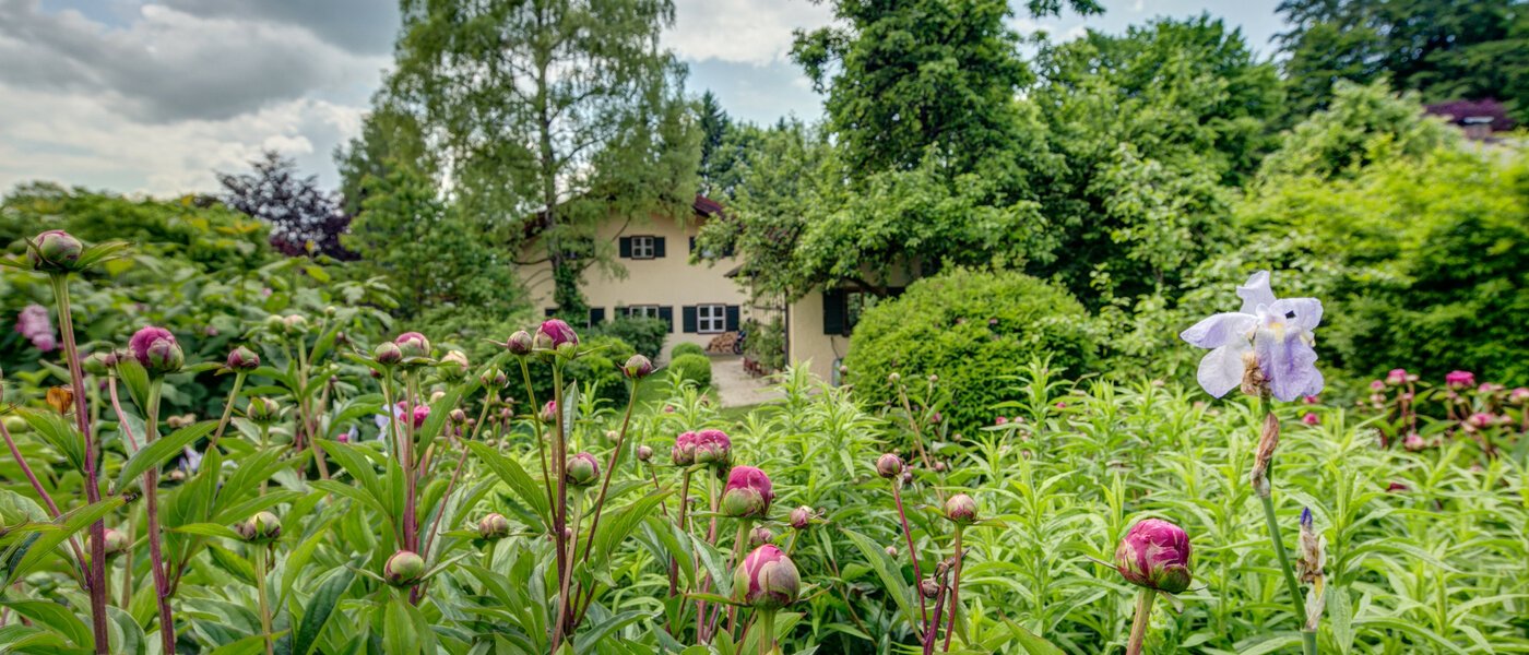 Haus Schäftlarn 02 Garten 7847