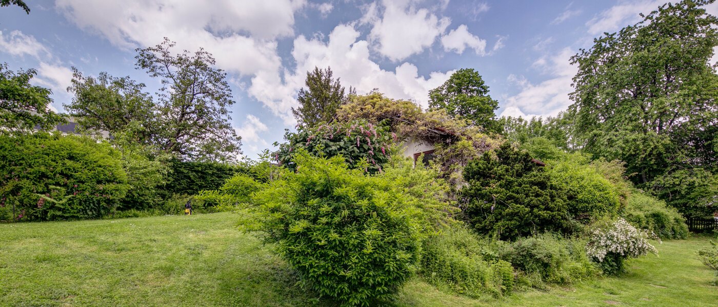 Haus Schäftlarn 03 Garten 7847