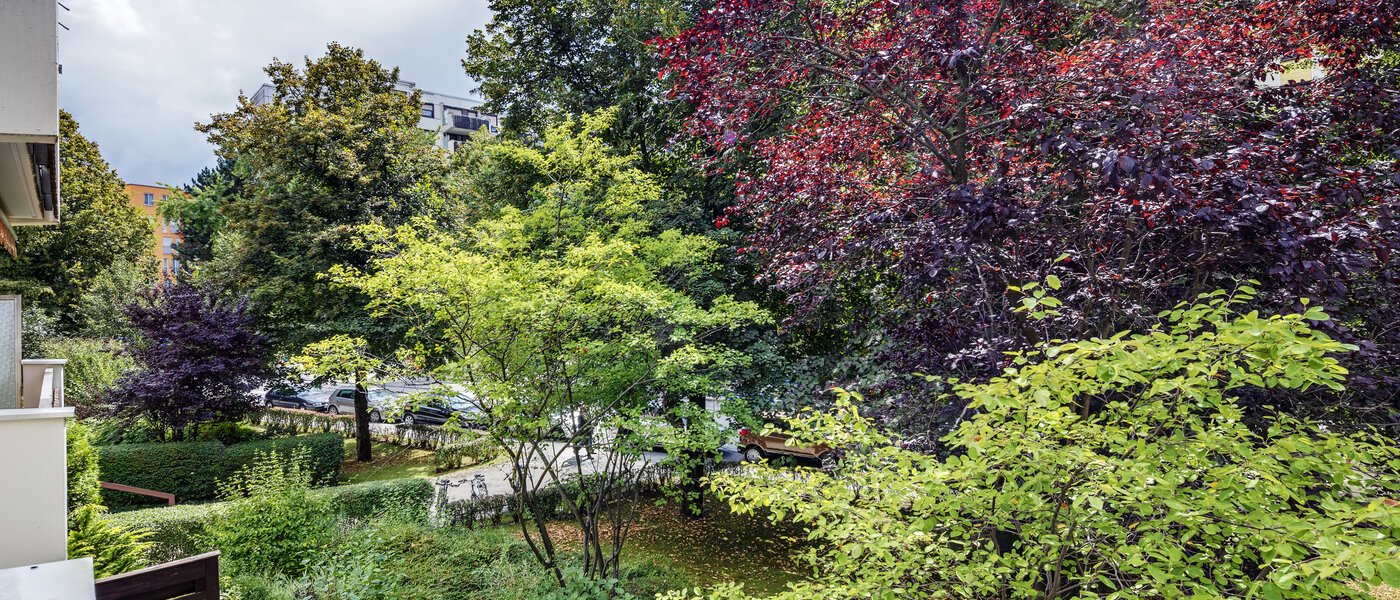 Wohnung München Haidhausen 01 Aussicht 7905