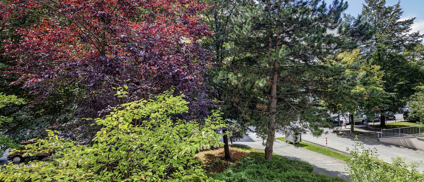 Wohnung München Haidhausen 02 Aussicht 7905